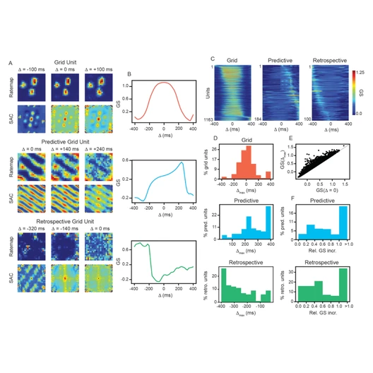 Figure 2: predictive and retrospective grid coding in RNNs trained for path integration